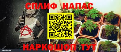 прущая мука Новокубанск