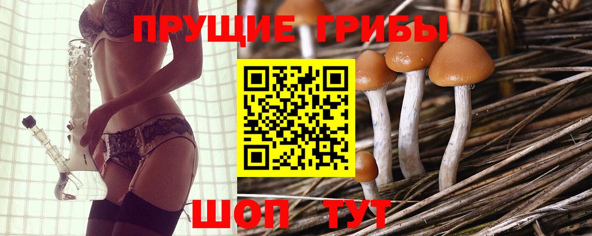 Псилоцибиновые грибы мицелий Симферополь