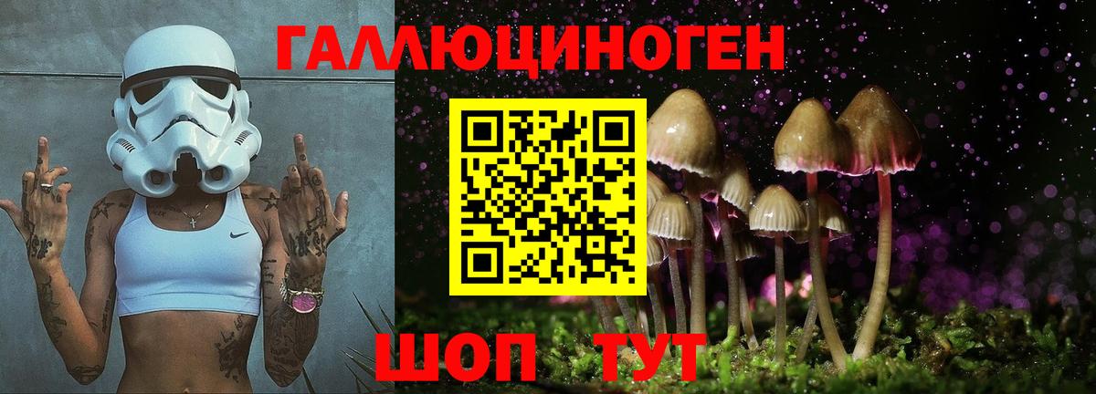 Псилоцибиновые грибы MAGIC MUSHROOMS  Вход с VPN  Симферополь 